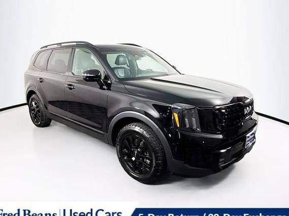 KIA TELLURIDE 2024 5XYP5DGCXRG438765 image
