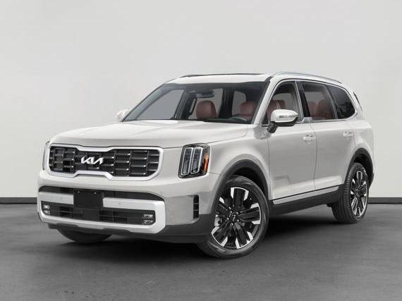 KIA TELLURIDE 2024 5XYP54GC5RG551555 image