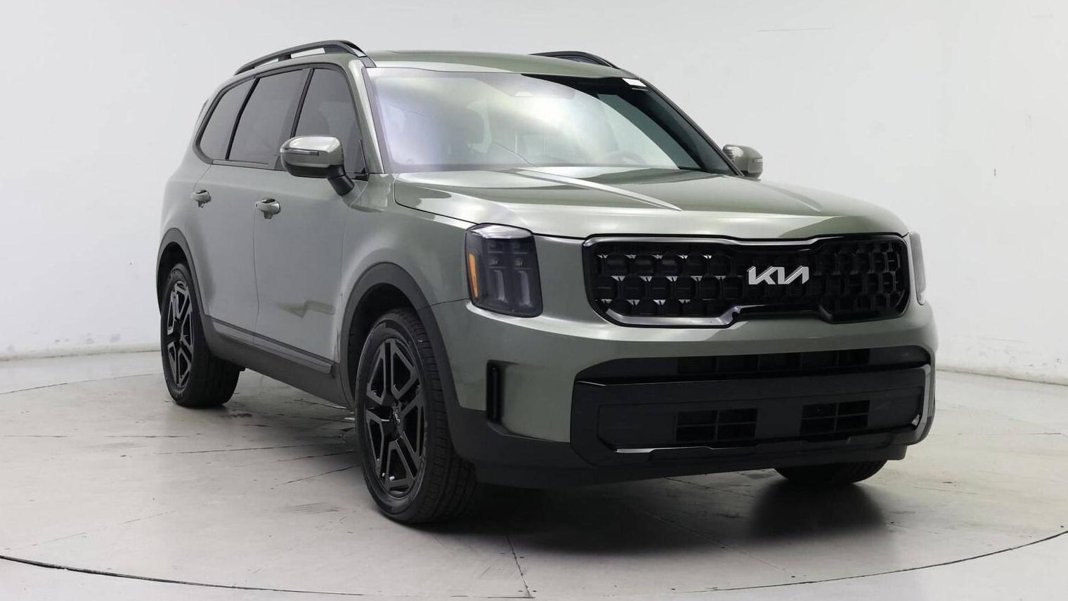 KIA TELLURIDE 2024 5XYP3DGC4RG420848 image