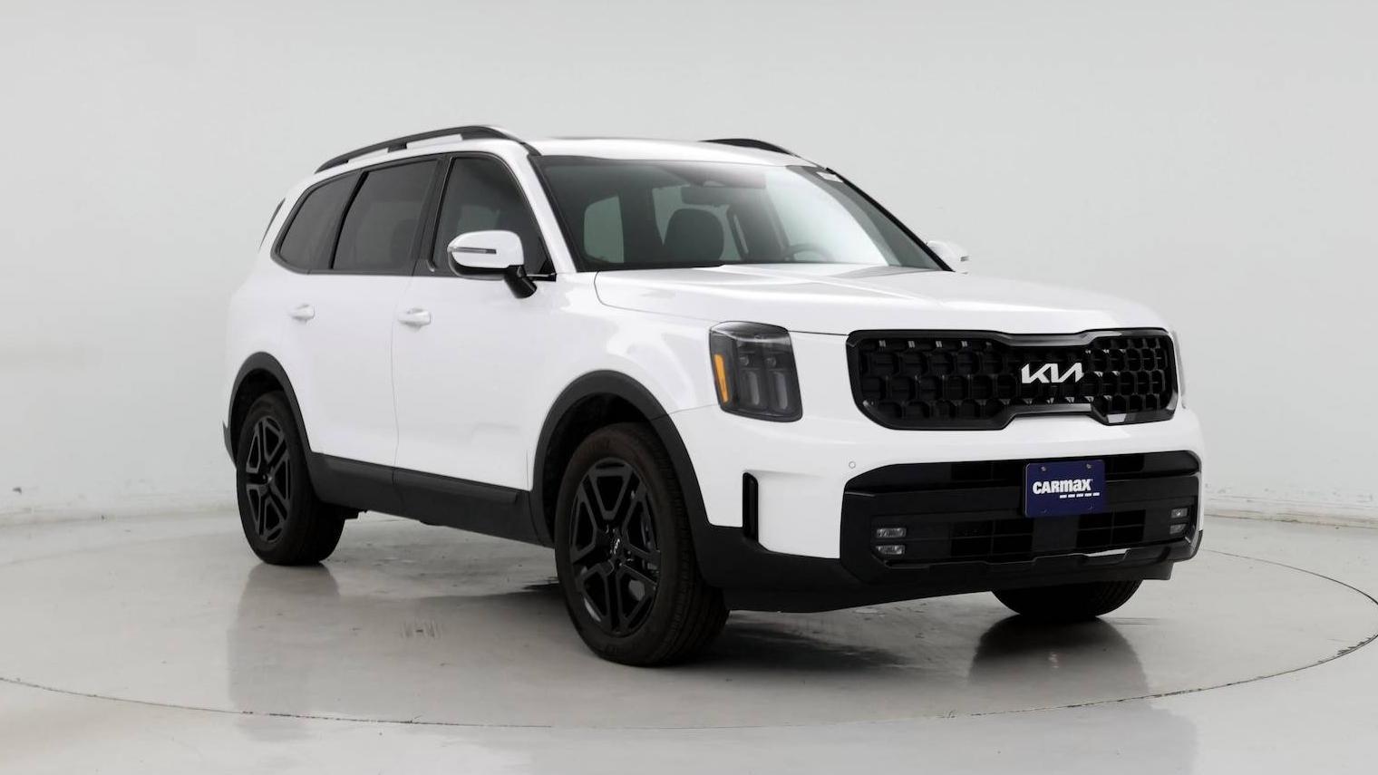 KIA TELLURIDE 2024 5XYP5DGC8RG536497 image