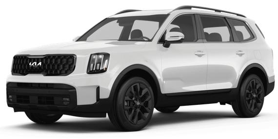 KIA TELLURIDE 2024 5XYP3DGC3RG535876 image