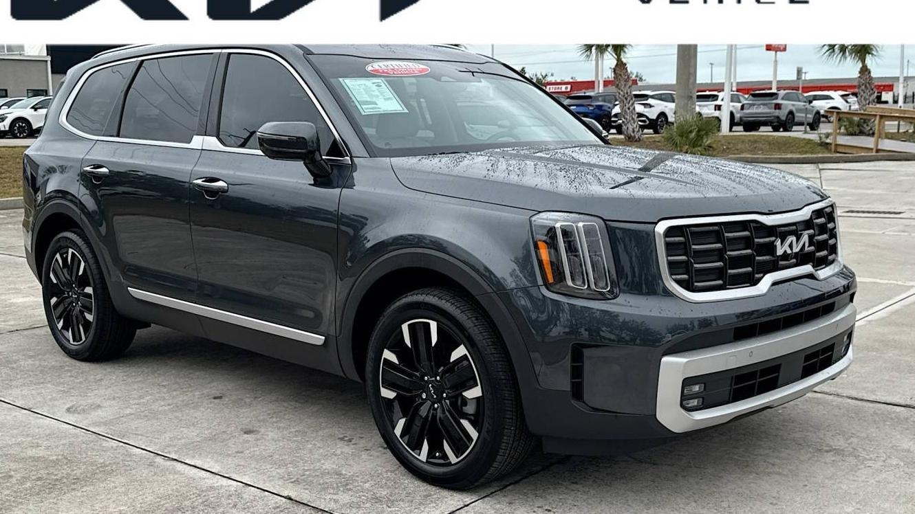 KIA TELLURIDE 2024 5XYP5DGC8RG441020 image