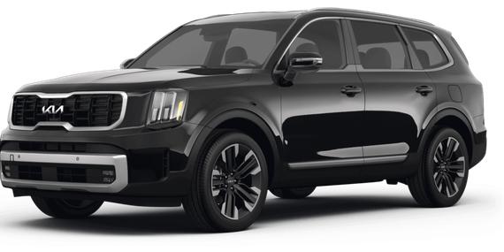 KIA TELLURIDE 2024 5XYP5DGC2RG534048 image