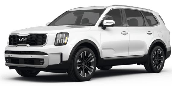 KIA TELLURIDE 2024 5XYP5DGC6RG554805 image