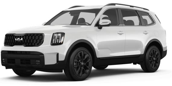 KIA TELLURIDE 2024 5XYP5DGC6RG543979 image KIA TELLURIDE 2024 5XYP5DGC6RG543979 image