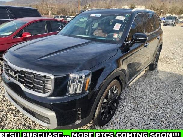 KIA TELLURIDE 2024 5XYP5DGCXRG421271 image