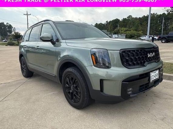 KIA TELLURIDE 2024 5XYP5DGC4RG425462 image