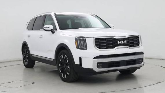 KIA TELLURIDE 2024 5XYP5DGC6RG522064 image