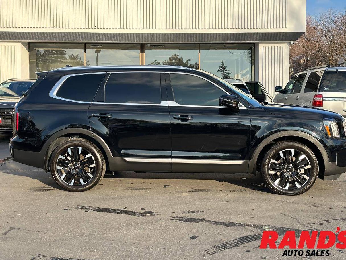 KIA TELLURIDE 2024 5XYP5DGC6RG452937 image