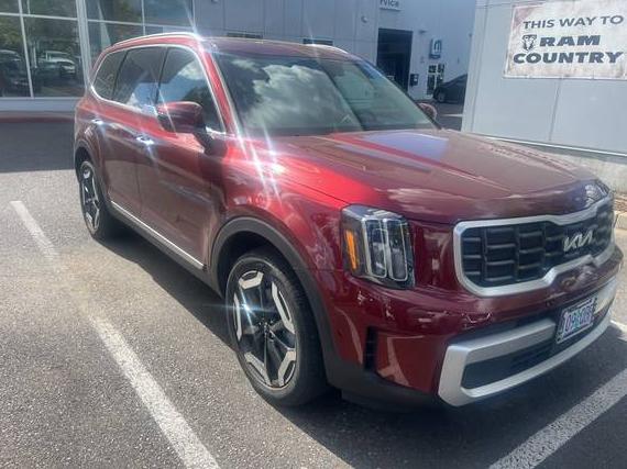 KIA TELLURIDE 2024 5XYP6DGC6RG534213 image
