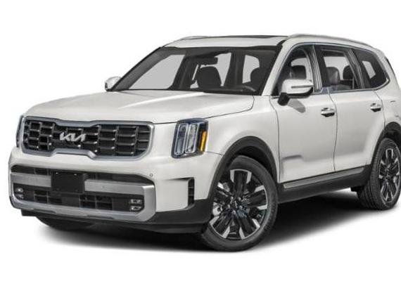 KIA TELLURIDE 2024 5XYP5DGC9RG433248 image