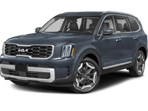 KIA TELLURIDE 2024 5XYP6DGC9RG413479 image