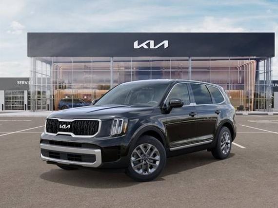 KIA TELLURIDE 2024 5XYP2DGC8RG527436 image