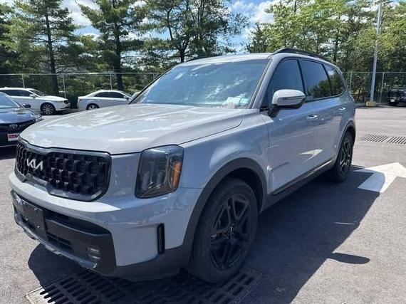 KIA TELLURIDE 2024 5XYP5DGC2RG420504 image
