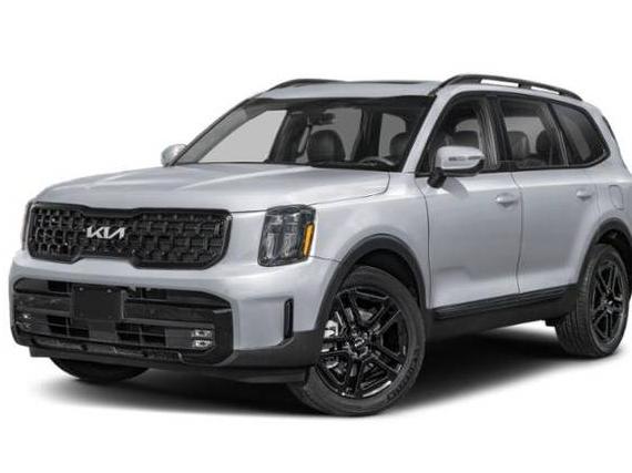 KIA TELLURIDE 2024 5XYP5DGCXRG446512 image