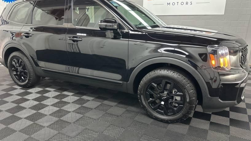 KIA TELLURIDE 2024 5XYP5DGC2RG481626 image