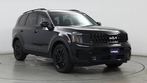 KIA TELLURIDE 2024 5XYP5DGC3RG561078 image