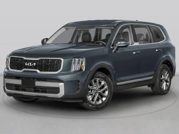 KIA TELLURIDE 2024 5XYP5DGC4RG464147 image