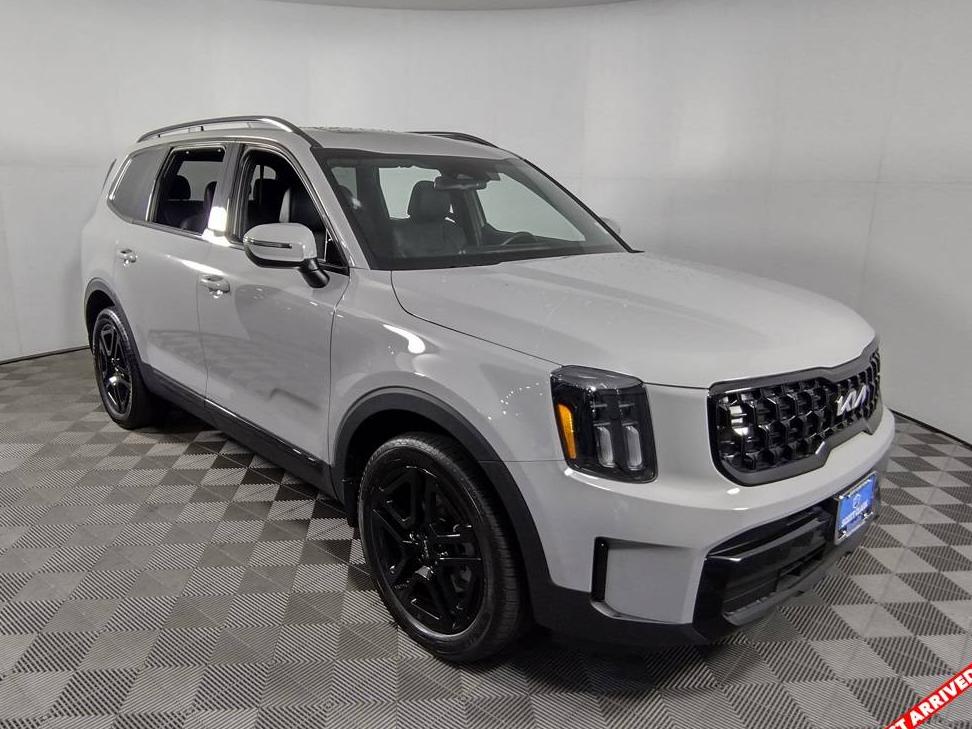 KIA TELLURIDE 2024 5XYP3DGCXRG463932 image