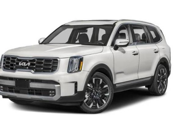 KIA TELLURIDE 2024 5XYP5DGC5RG431058 image