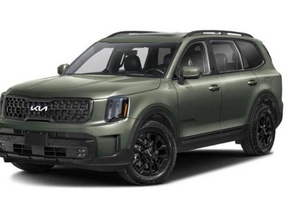 KIA TELLURIDE 2024 5XYP5DGC3RG421838 image