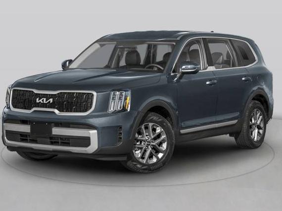 KIA TELLURIDE 2024 5XYP5DGC8RG437887 image