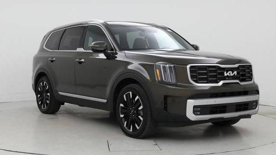 KIA TELLURIDE 2024 5XYP5DGC1RG544134 image