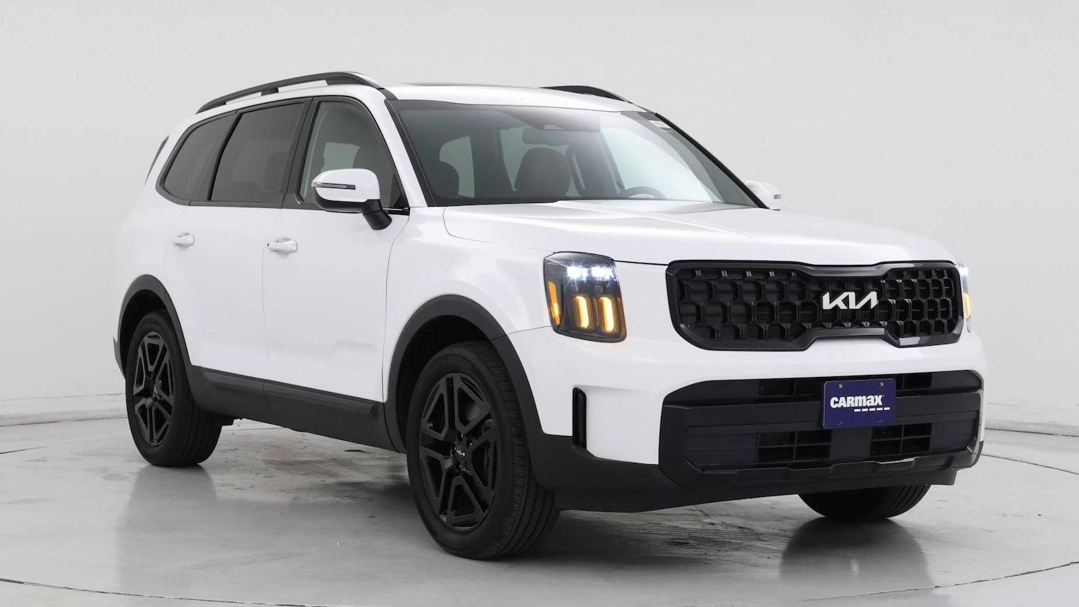 KIA TELLURIDE 2024 5XYP3DGC4RG426567 image