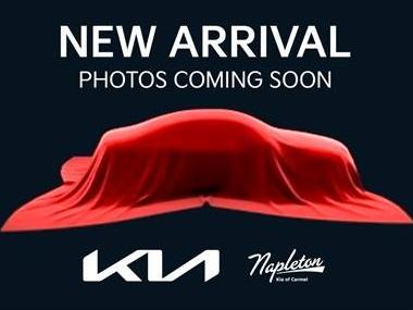 KIA TELLURIDE 2024 5XYP5DGC8RG450896 image