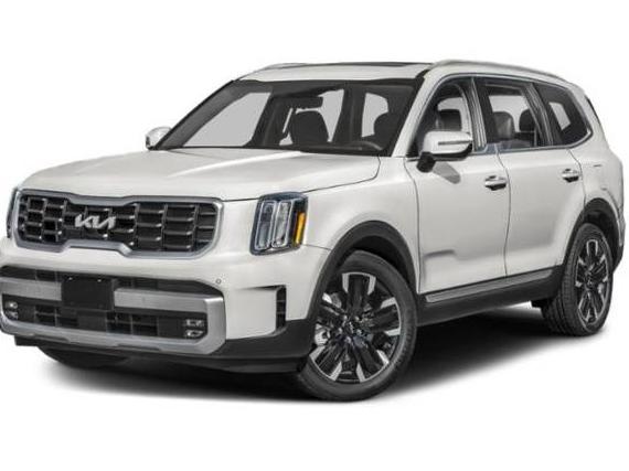 KIA TELLURIDE 2024 5XYP5DGC1RG419991 image