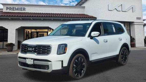 KIA TELLURIDE 2024 5XYP5DGC0RG551057 image
