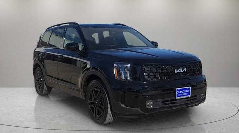 KIA TELLURIDE 2024 5XYP5DGC0RG482967 image