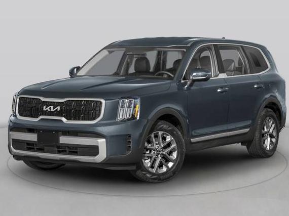 KIA TELLURIDE 2024 5XYP5DGC2RG471971 image