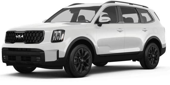 KIA TELLURIDE 2024 5XYP5DGC5RG470510 image