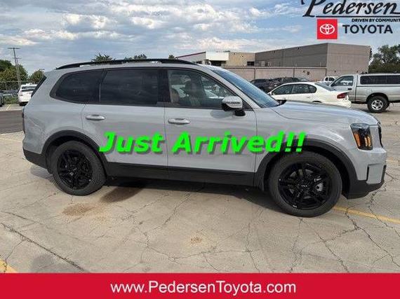 KIA TELLURIDE 2024 5XYP5DGC7RG424760 image