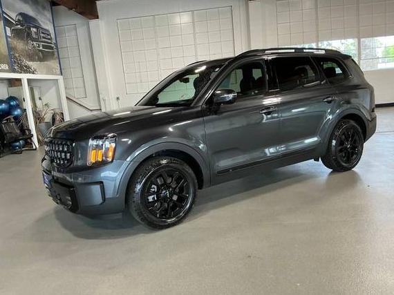 KIA TELLURIDE 2024 5XYP5DGC6RG491883 image