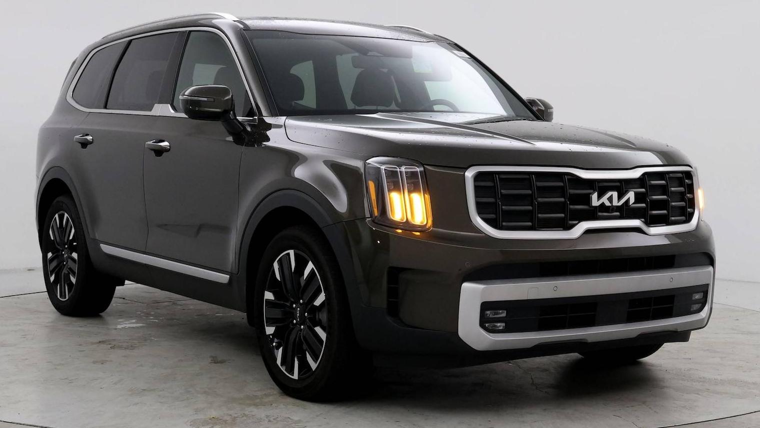 KIA TELLURIDE 2024 5XYP5DGC6RG419274 image