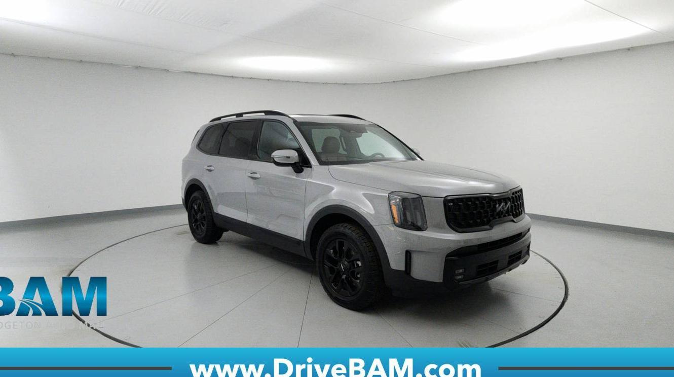 KIA TELLURIDE 2024 5XYP5DGC3RG421564 image