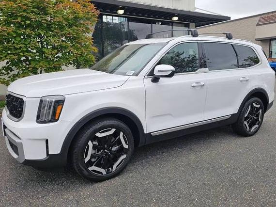 KIA TELLURIDE 2024 5XYP34GC0RG444323 image KIA TELLURIDE 2024 5XYP34GC0RG444323 image