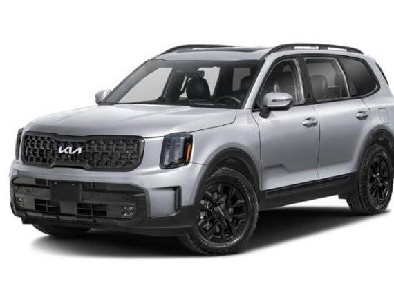 KIA TELLURIDE 2024 5XYP5DGC2RG550993 image