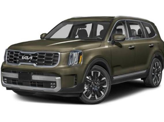 KIA TELLURIDE 2024 5XYP5DGC0RG430559 image