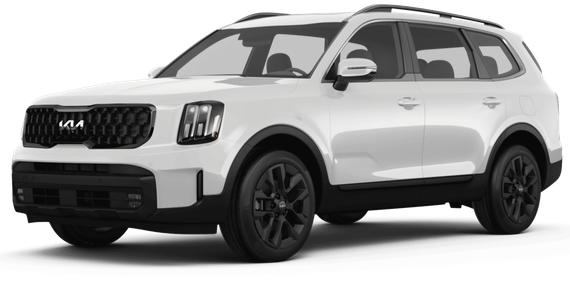 KIA TELLURIDE 2024 5XYP34GC2RG419925 image