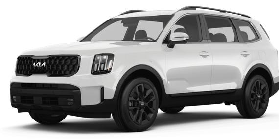 KIA TELLURIDE 2024 5XYP5DGC3RG413531 image