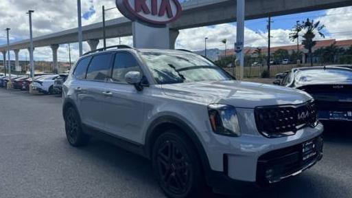 KIA TELLURIDE 2024 5XYP5DGCXRG461561 image