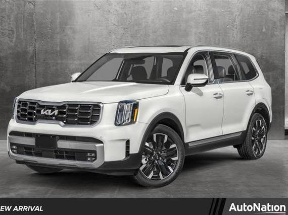 KIA TELLURIDE 2024 5XYP5DGC3RG416123 image