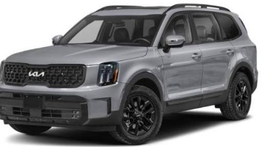 KIA TELLURIDE 2024 5XYP5DGC0RG477817 image