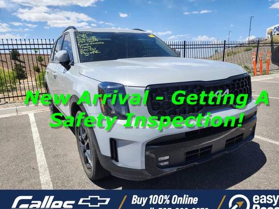 KIA TELLURIDE 2024 5XYP5DGC2RG451624 image