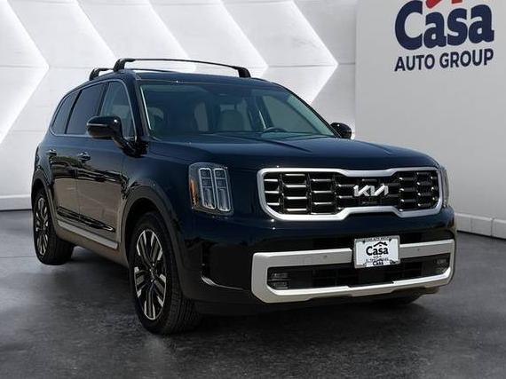 KIA TELLURIDE 2024 5XYP5DGC3RG564935 image