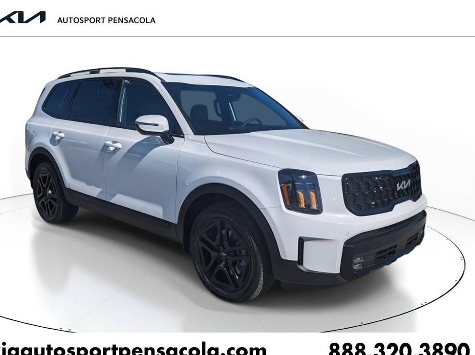 KIA TELLURIDE 2024 5XYP5DGC6RG559132 image