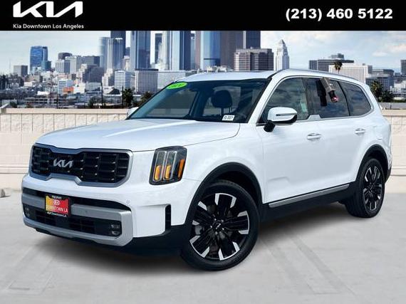 KIA TELLURIDE 2024 5XYP5DGC1RG519072 image